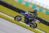 PJ-Motorsport-2019;anglesey-no-limits-trackday;anglesey-photographs;anglesey-trackday-photographs;enduro-digital-images;event-digital-images;eventdigitalimages;no-limits-trackdays;peter-wileman-photography;racing-digital-images;trac-mon;trackday-digital-images;trackday-photos;ty-croes